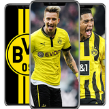 Borussia Dortmund Wallpapers icono