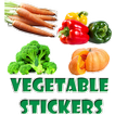 Vegetable Stickers 아이콘