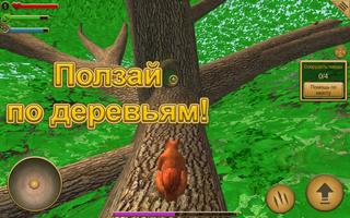 Симулятор Белки скриншот 2