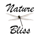 Meditation Music: Nature Bliss icon