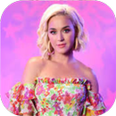 Katy Perry Songs Offline APK