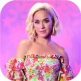 Katy Perry Songs Offline