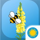 Aww Snap! A Snapdragon Study icono