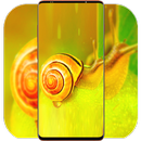 Snail Wallpaper HD APK