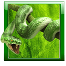 Snake Live Wallpaper APK