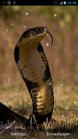 Snake Live Wallpaper screenshot 1