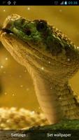 Snake Live Wallpaper screenshot 2