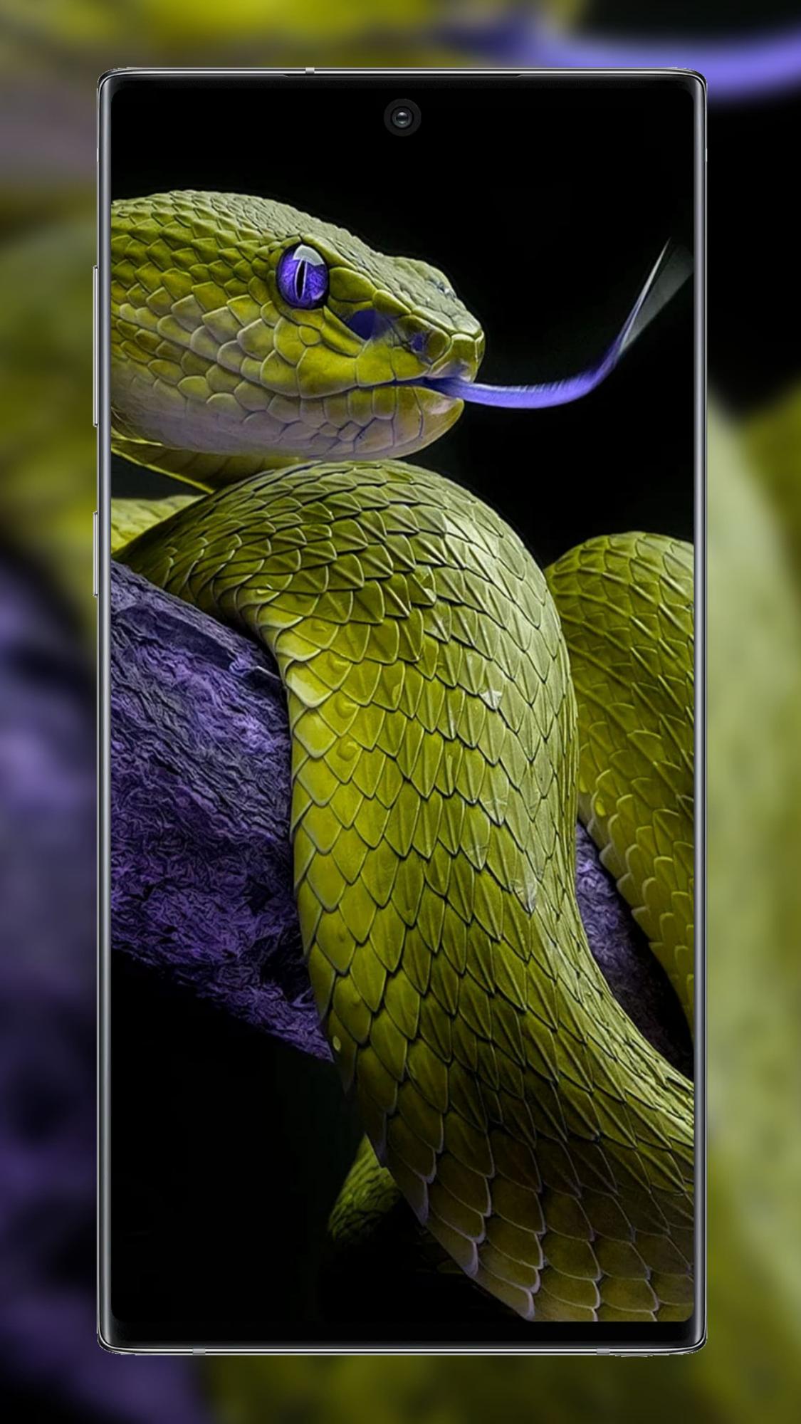 Змея на заставку телефона