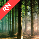 Relax Nature: Forest APK