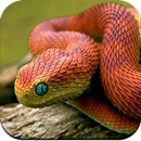 Snake Wallpaper 4K APK