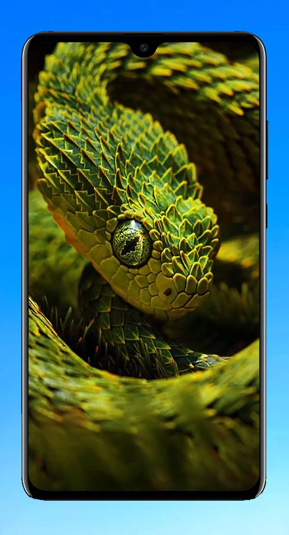 Tải xuống APK Snake Wallpaper cho Android