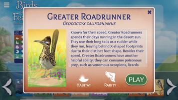 Birds of a Feather Card Game capture d'écran 3