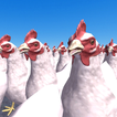 ”Cluck Shot: Chicken War FPS