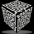 Moving Maze