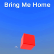 Bring Me Home