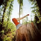 7 Days Survival: Forest simgesi