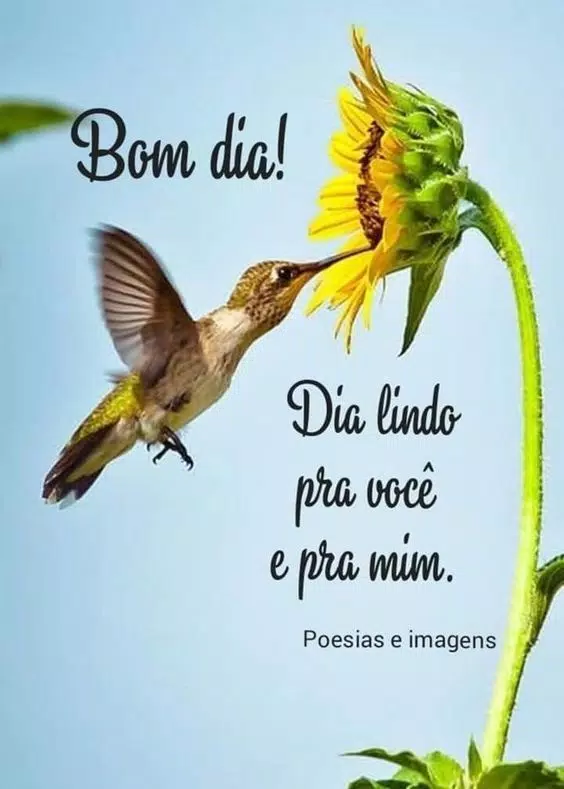 Mensagens de bom dia, boa tarde e boa noite APK for Android Download Mensagens de bom dia, boa tarde e boa noite APK for Android Download