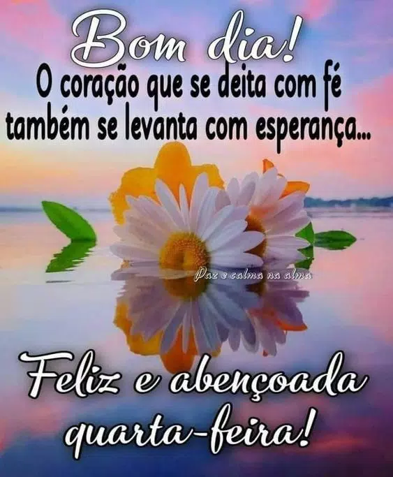 Bom dia /boa tarde/boa noite