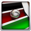 APK Royal Casino Roulette 3D