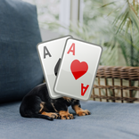 Ablaze Cute Solitaire Free