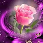 Icona Immagini di fiori e rose GIF