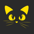 Catty Catter