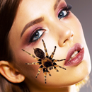 Spinnen Filter Gesicht APK