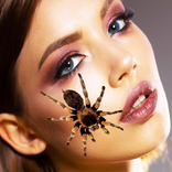 얼굴에 거미