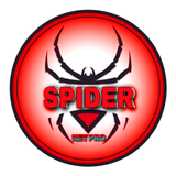 Spider-Web VPN icon