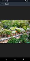 Modern Garden Pots Design Ideas syot layar 3