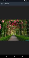 Flowers Garden Arches Design syot layar 3