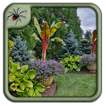 Tropical Garden Plants Design Ideas