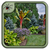 Tropical Garden Plants Design Ideas icône