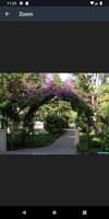 برنامه‌نما Tropical Garden Plants Design Ideas عکس از صفحه