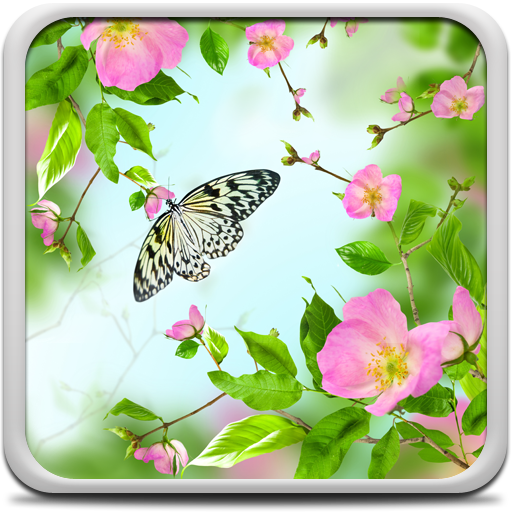 Spring Flowers Live Wallpaper