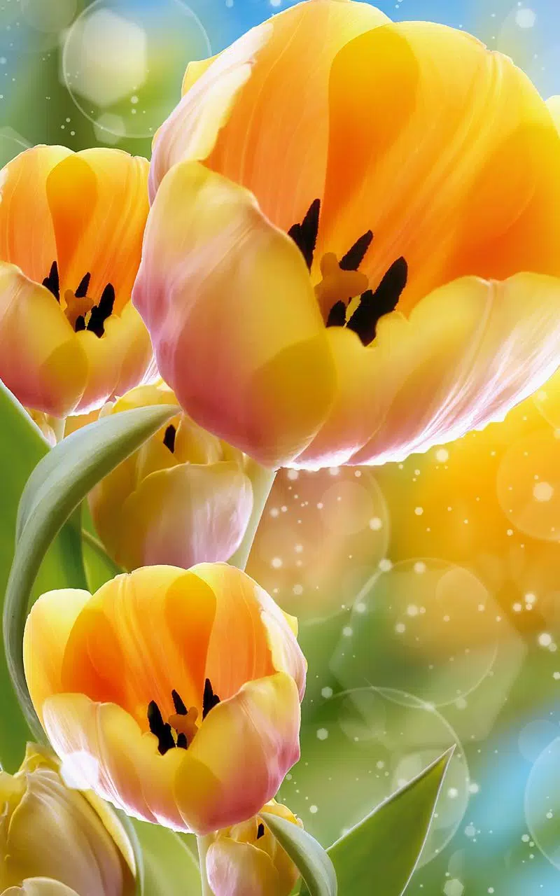 Android向けの春の花ライブ壁紙 Apkをダウンロードしましょう