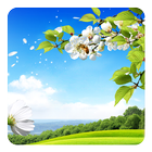 Spring Live Wallpaper biểu tượng