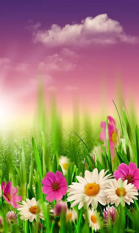 Spring Live Wallpaper APK for Android Download Spring Live Wallpaper APK for Android Download