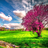 Spring Live Wallpaper APK