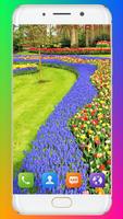 Spring Wallpaper screenshot 2