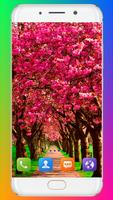 Spring Wallpaper screenshot 3