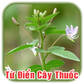 Từ Điển Cây Thuốc Đông Y Việt