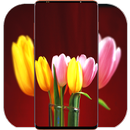 Tulip Wallpaper HD APK