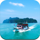 Turquoise Wallpaper HD APK