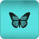 Turquoise Wallpapers APK