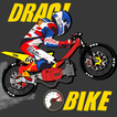 Indonesia Drag Bike Racing