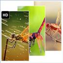 Dragonflies Wallpaper APK