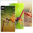 Dragonflies Wallpaper icône