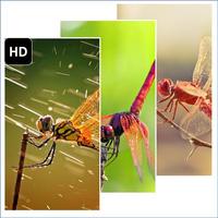 Dragonflies Wallpaper Affiche