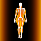 body fat estimator icon